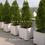 Chậu trồng cây composite iPot vuông| IP-00092