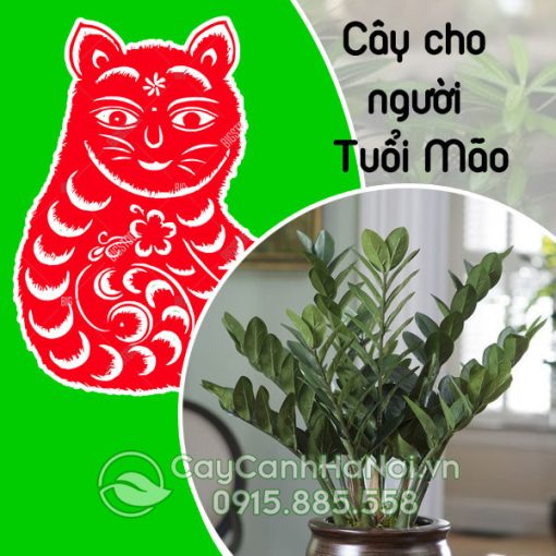 Cây cho người tuổi Mão