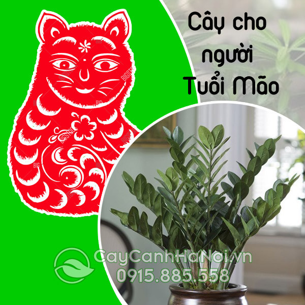 Cây cho người tuổi Mão
