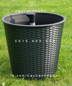 Chậu iPot thông minh đan sợi Rattan tròn| HTTT-10