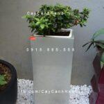 Chậu nhựa trồng cây composite Havico Lazy| HVC-00038
