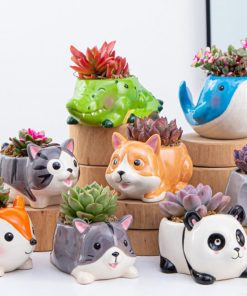 Chậu cây mini hình thú có thiết kế vui nhộn, dễ thương