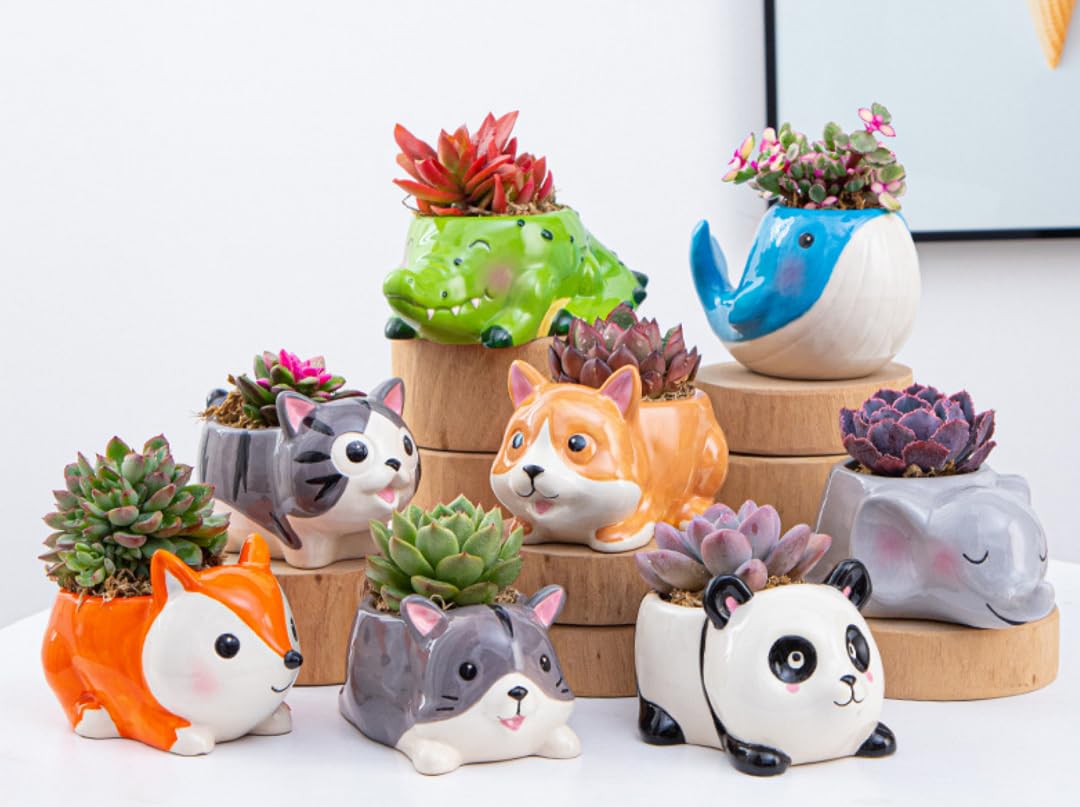 Chậu cây tiểu cảnh mini hình thú có thiết kế vui nhộn, dễ thương