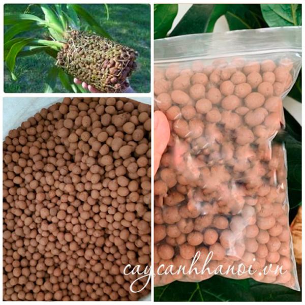 Viên đất nung sỏi nhẹ
