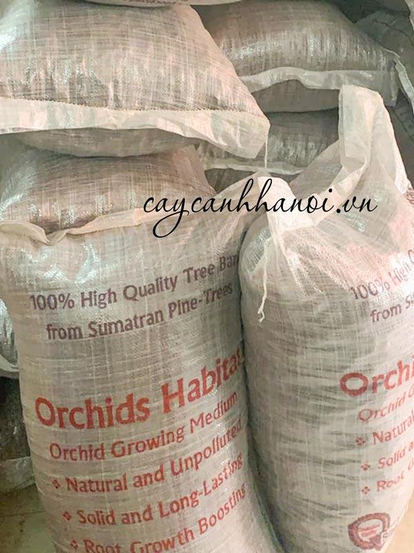 Nơi bán vỏ thông Habitat giá rẻ số lượng lớn