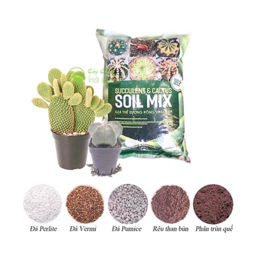 Thành phần hỗn hợp đất trồng sen đá xương rồng Soil Mix