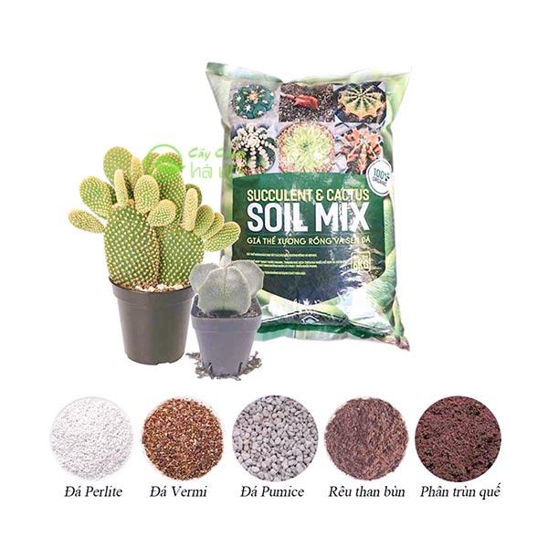 Thành phần hỗn hợp đất trồng sen đá xương rồng Soil Mix