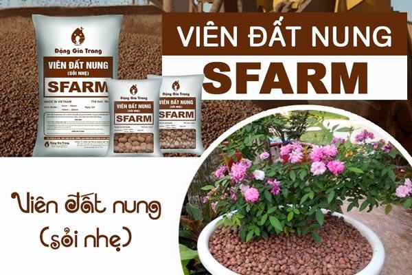 Viên đất nung sỏi nhẹ Đặng Gia Trang