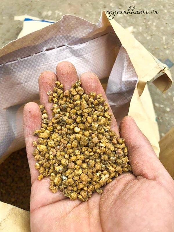 Đá maifan cân bằng độ pH
