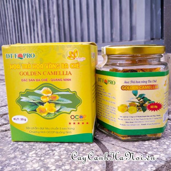 Trà hoa vàng Ba Chẽ Bắc Nình loại 20g