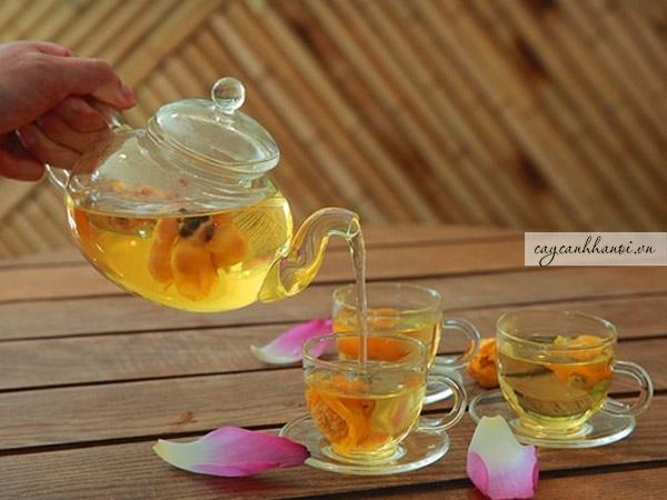 Công dụng của trà hoa vàng