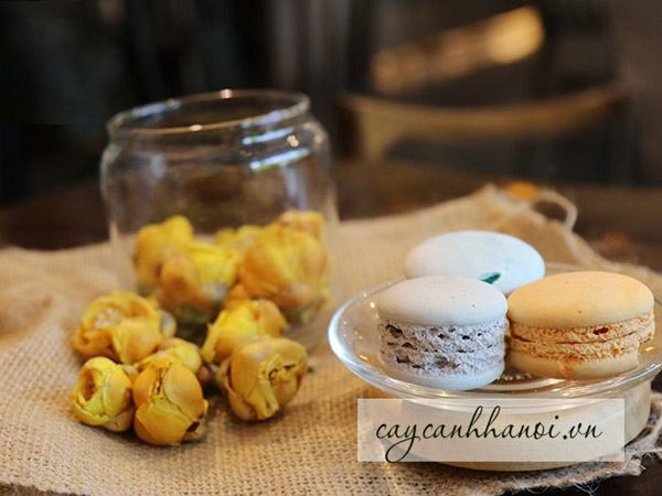 Cách pha trà hoa vàng thơm ngon