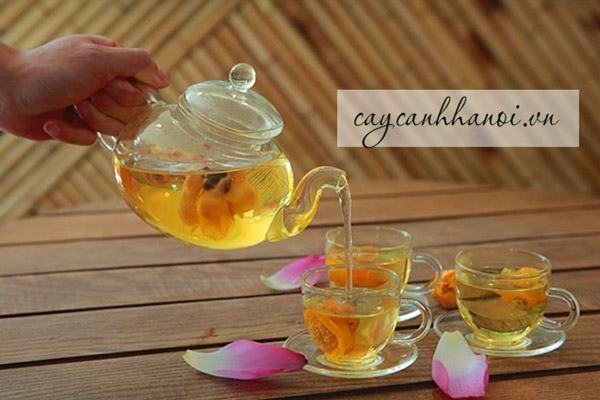 Trà hoa vàng Ba Chẽ hoa sấy lạnh là thương hiệu trà thượng hạng