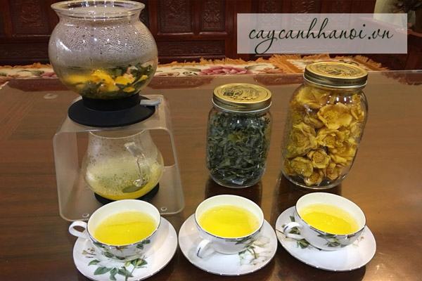 Các cách pha trà hoa vàng thơm ngon