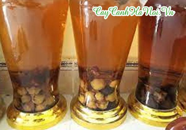 Trà hoa vàng dùng để ngâm rượu