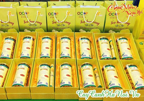 Trà hoa vàng Ba Chẽ của Golden Camellia