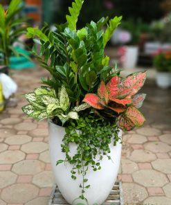 Kim tiền là biểu tượng của tài lộc và thịnh vượng trong kinh doanh