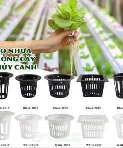 Đặc điểm giỏ nhựa trồng cây thủy sinh
