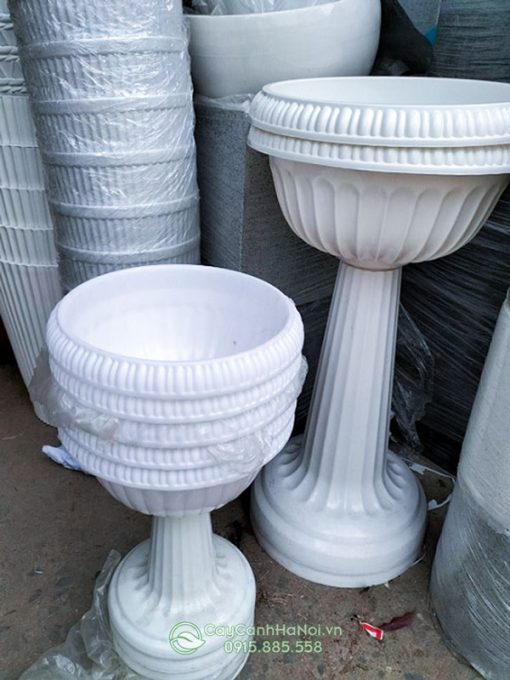 Bán chậu nhựa ly có chân đế số lượng lớn tại Hà Nội