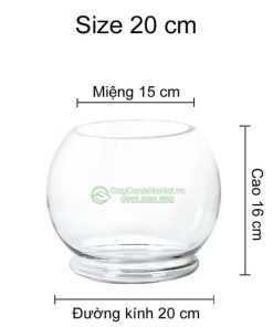 Bình thủy tinh dáng tròn size 20