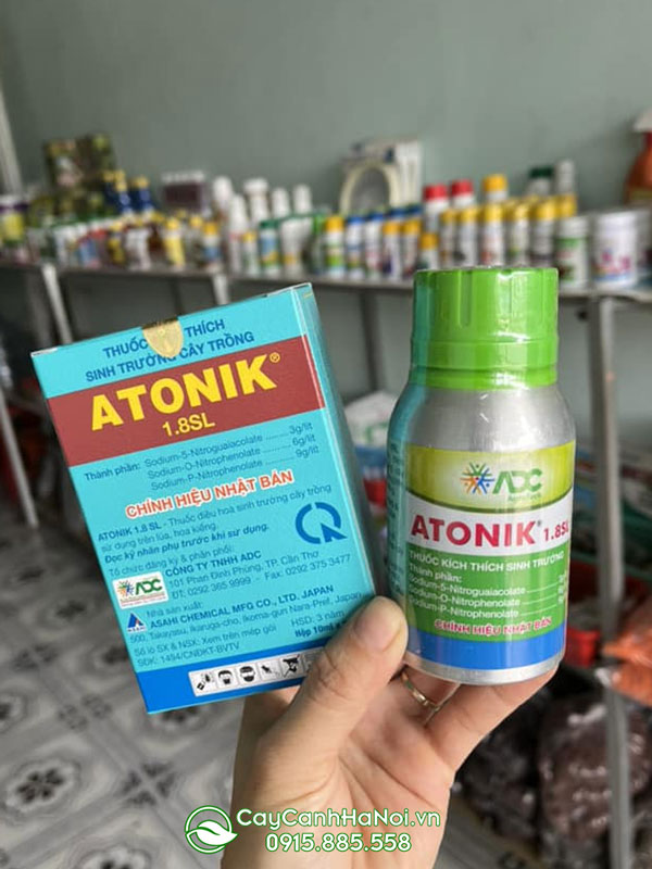 Cây Cảnh Hà Nội bán thuốc kích thích sinh trowngr cây trồng Atonik chính hãng