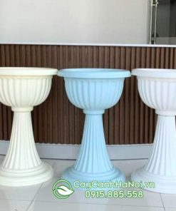 Chậu nhựa ly chân đế có nhiều màu sắc khác nhau