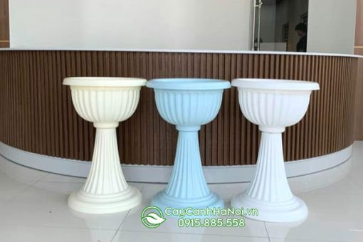 Chậu nhựa ly chân đế có nhiều màu sắc khác nhau