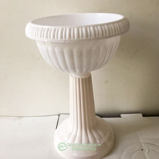 Chậu nhựa ly có chân đế dễ dàng tháo lắp