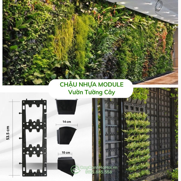 Chậu nhựa module vườn tường đứng