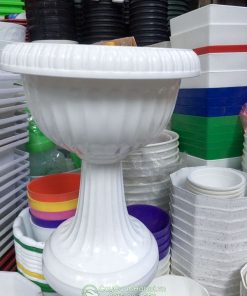 Đặc điểm chậu ly nhựa chân đế