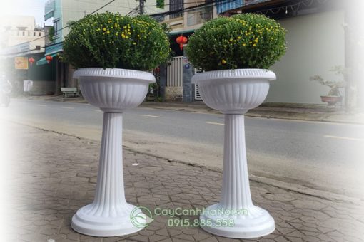giá bán chậu ly nhựa có chân đế