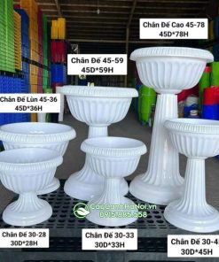 Kích thước chậu ly nhựa chân đế tròn
