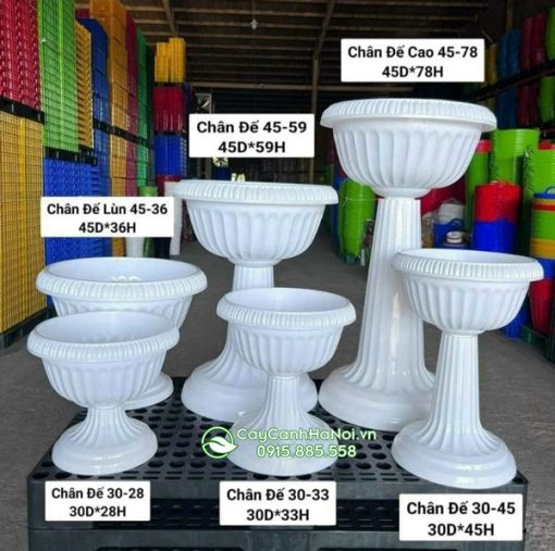 Kích thước chậu ly nhựa chân đế tròn