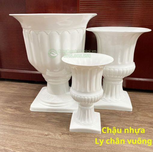 Kích thước chậu nhựa ly chân vuông