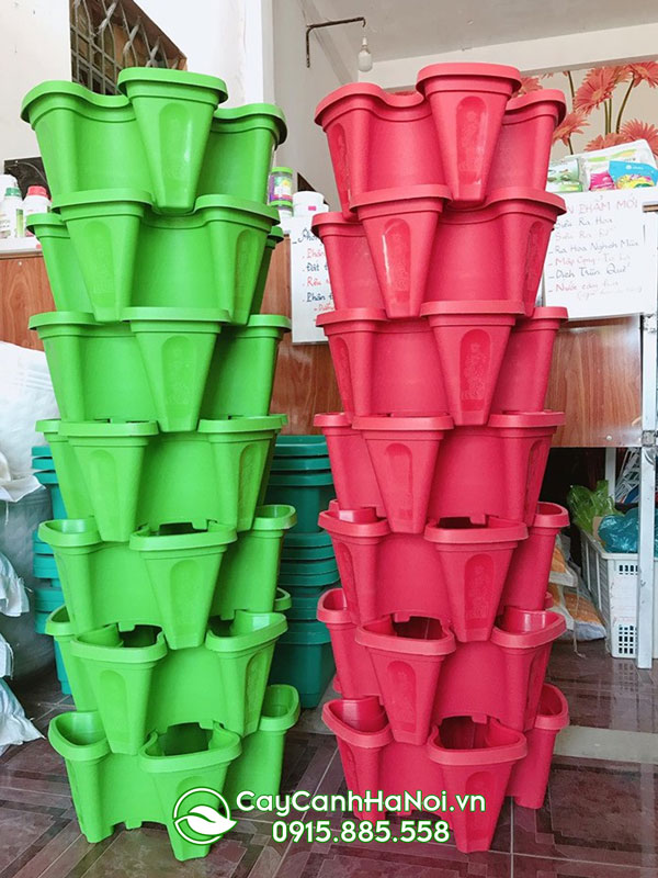 Địa chỉ bán chậu nhựa trồng cây nhiều tầng tại Hà Nội