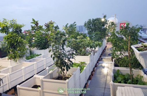 Địa chỉ cung cấp chậu nhựa ghép thông minh tại Hà Nội