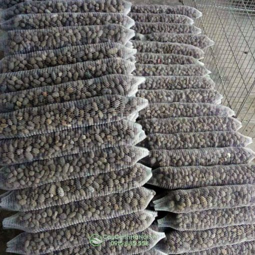 Phân dê dạng túi lưới bán cho cây lan