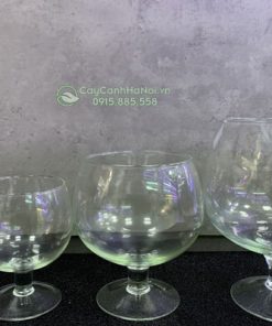 Bán chậu ly thủy tinh trồng cây nuôi cá nhiều kích thước