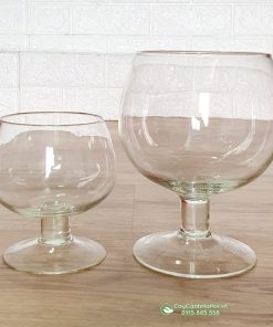 Bán chậu thủy tinh dáng ly nuôi cá đẹp tại Hà Nội