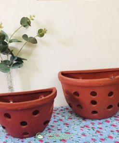 Chậu đất nung áp tường trồng lan