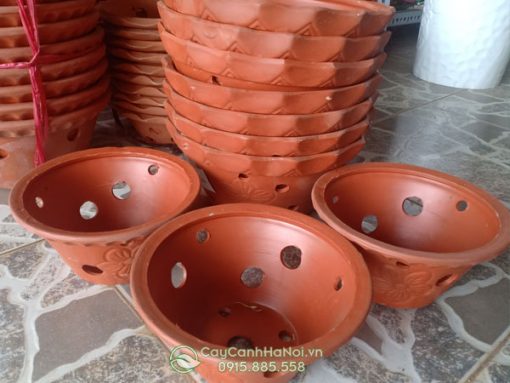 Chậu đất nung có màu sắc bắt mắt
