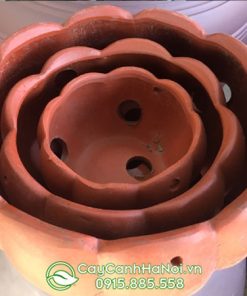 Chậu đất nung hình bí trồng lan