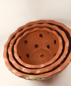 Chậu đất nung tròn lượn sóng trồng lan