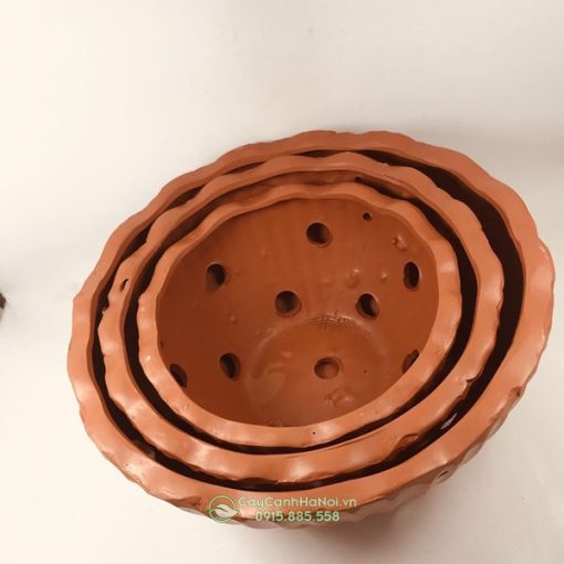 Chậu đất nung tròn lượn sóng trồng lan