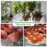 Chậu Đất Nung Trồng Lan Gốm Bát Tràng