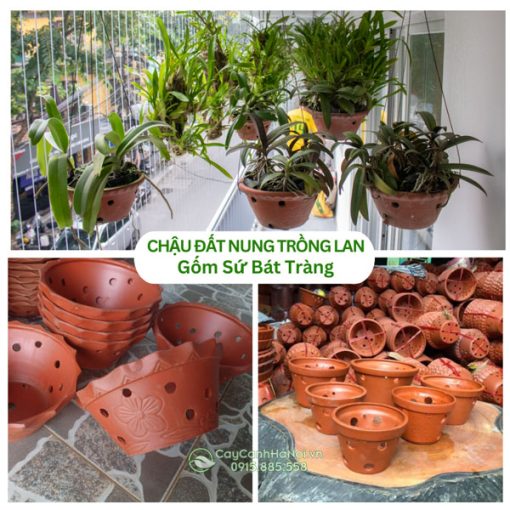 Chậu Đất Nung Trồng Lan Gốm Bát Tràng