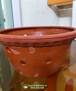 Chậu đất nung trồng lan cao cấp thoát nước tốt