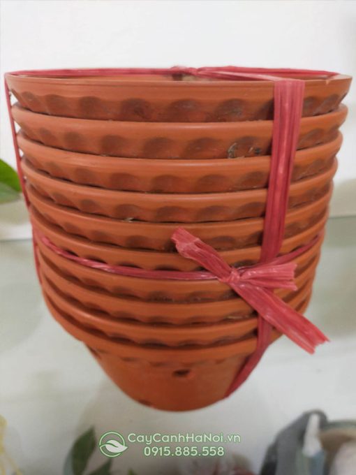 Chậu đất nung trồng lan có mức giá hợp lý