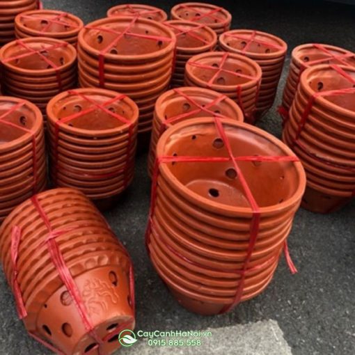 Chậu đất nung trồng chậu có nhiều kích thước khác nhau
