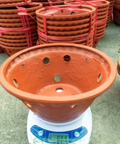 Chậu đất nung trồng lan gốm Bát Tràng
